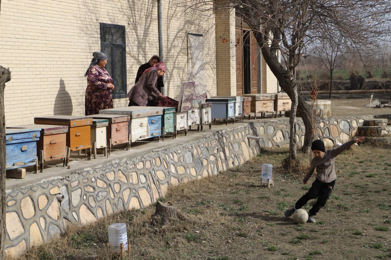 Shofirkonning "Bolli" ko‘chasi: Iskogaredagi tadbirkor asalarichilar xonadonidan reportaj