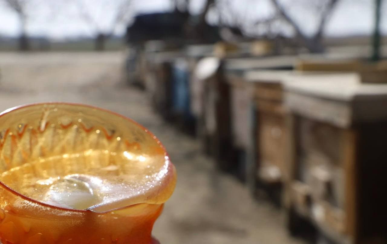 Shofirkonning "Bolli" ko‘chasi: Iskogaredagi tadbirkor asalarichilar xonadonidan reportaj