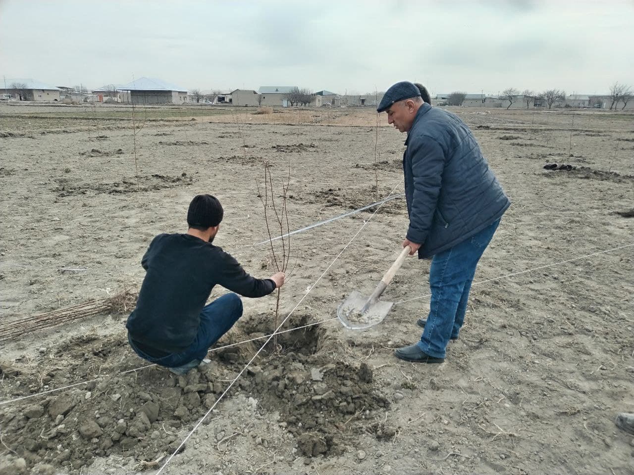 Shofirkon tumani: Hashar — birlik va ezgulik ramzi: Shofirkonda umumxalq xayriya hashari ko‘tarinki ruhda o‘tdi