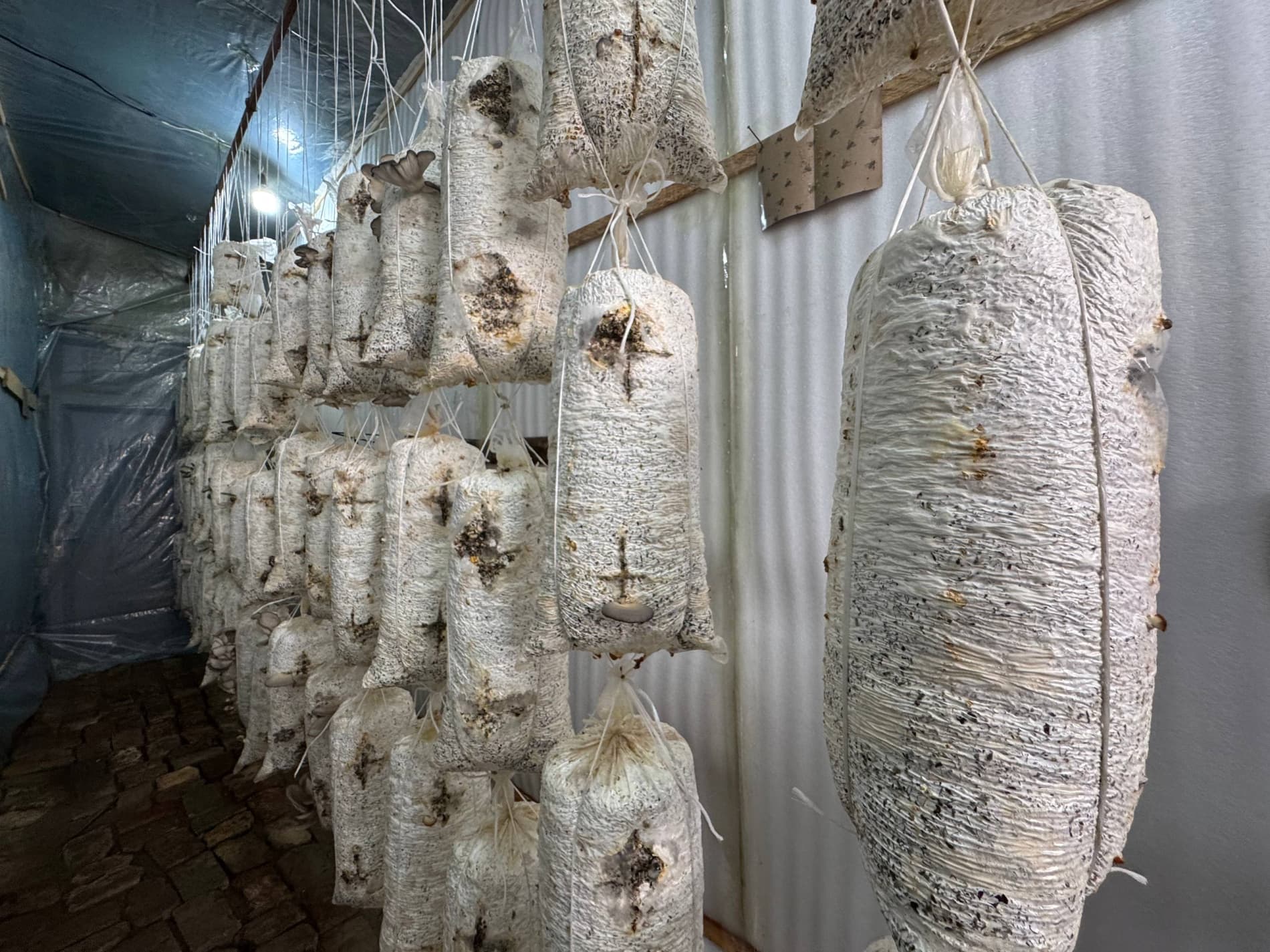 Bir xonadondan bir nechta daromad manbai