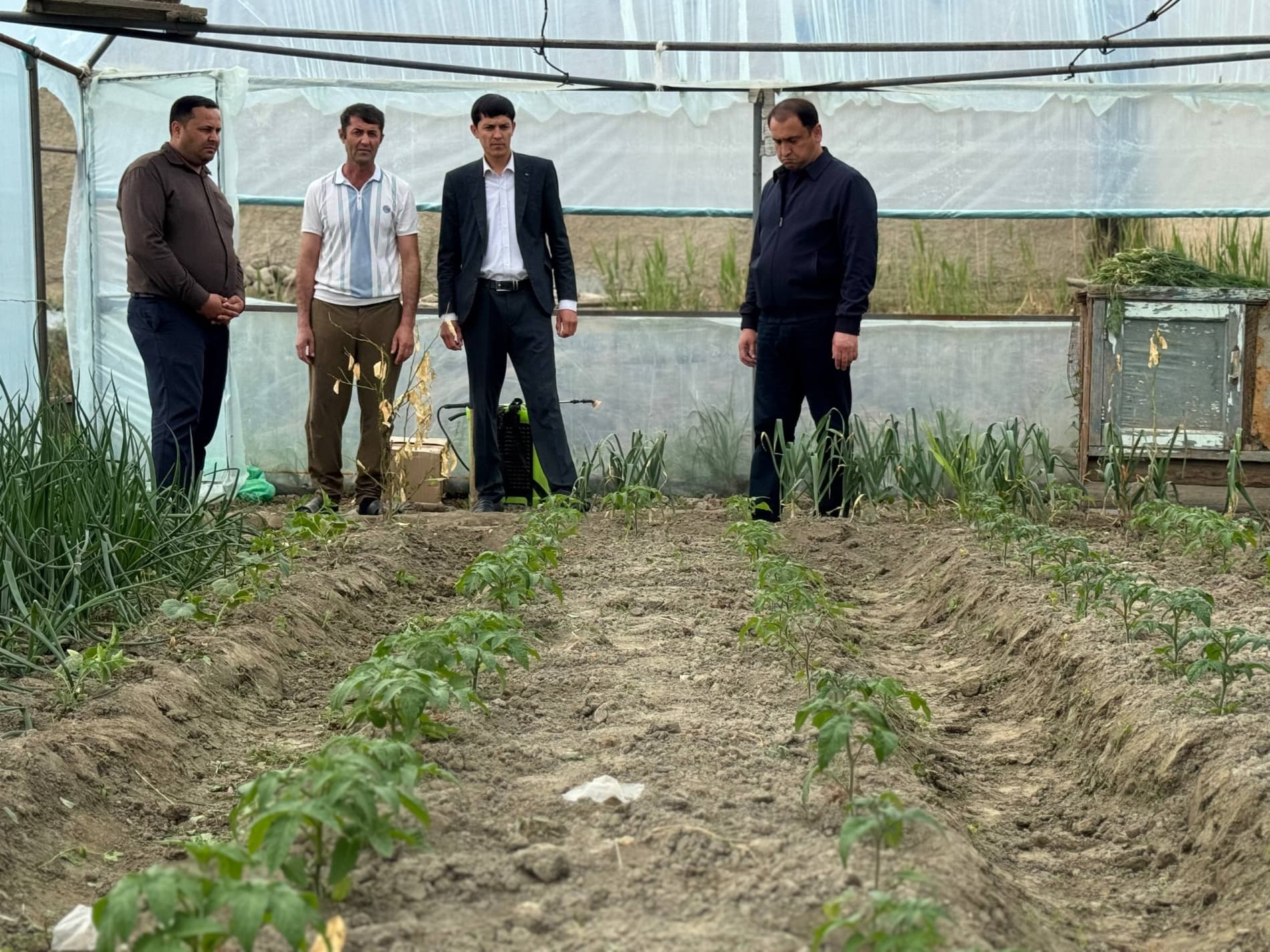 Bir xonadondan bir nechta daromad manbai