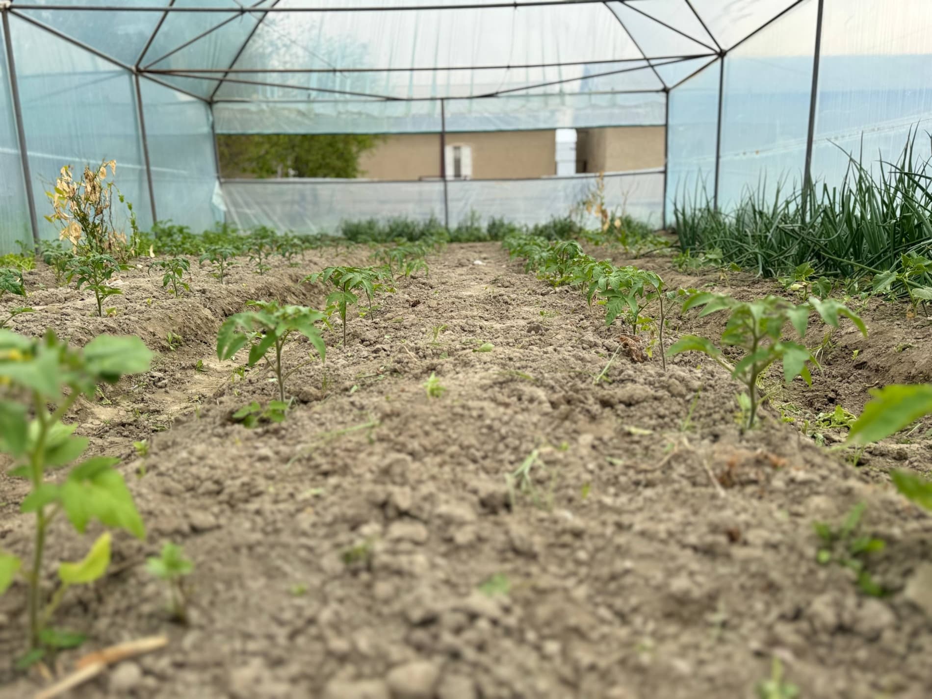 Bir xonadondan bir nechta daromad manbai