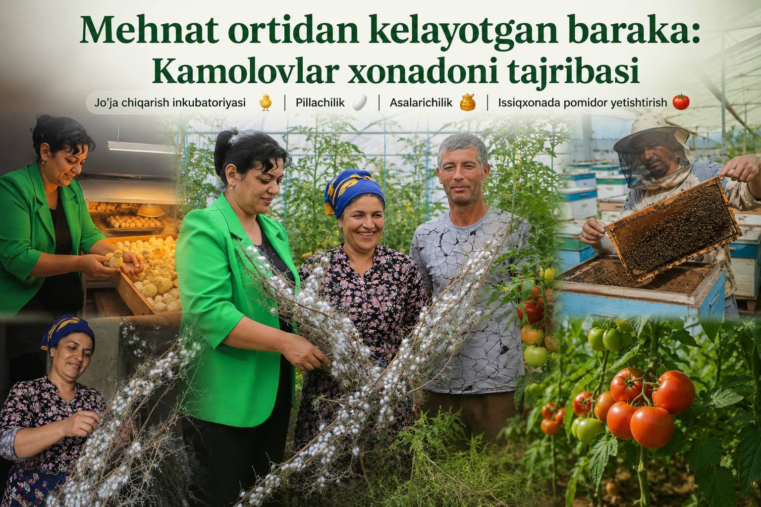 Меҳнат ортидан келаётган барака: Камоловлар хонадони тажрибаси