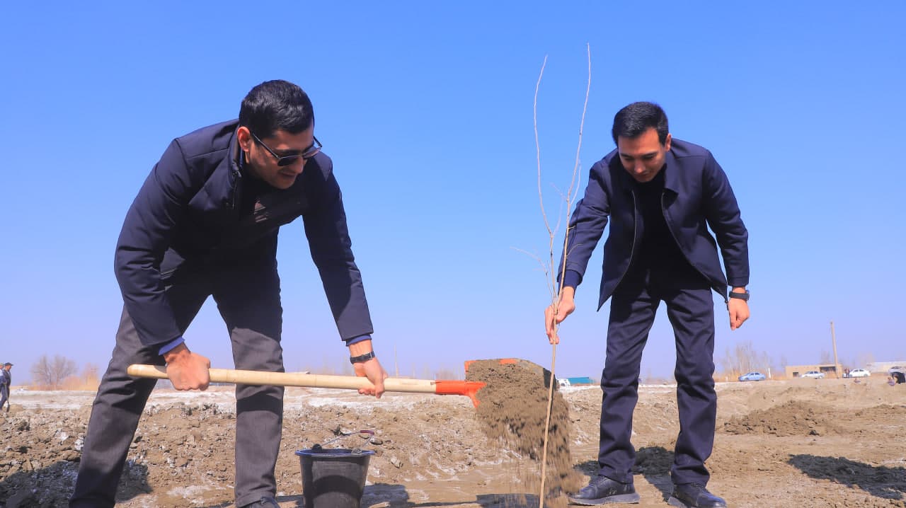 Qorako‘l tumanida “Yashil makon” loyihasi doirasida ko‘chat ekish ishlari davom etmoqda