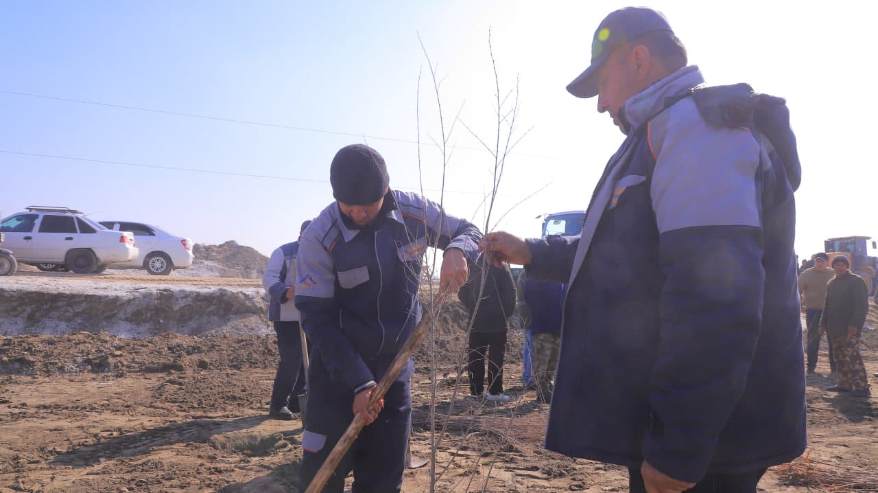 Qorako‘l tumanida “Yashil makon” loyihasi doirasida ko‘chat ekish ishlari davom etmoqda