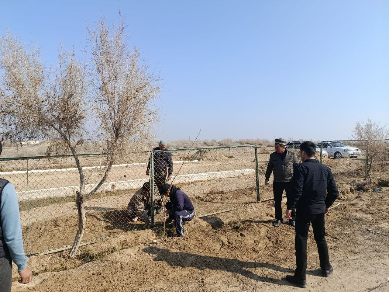 Umumxalq xayriya hashari doirasida qabriston hududi obodonlashtirildi