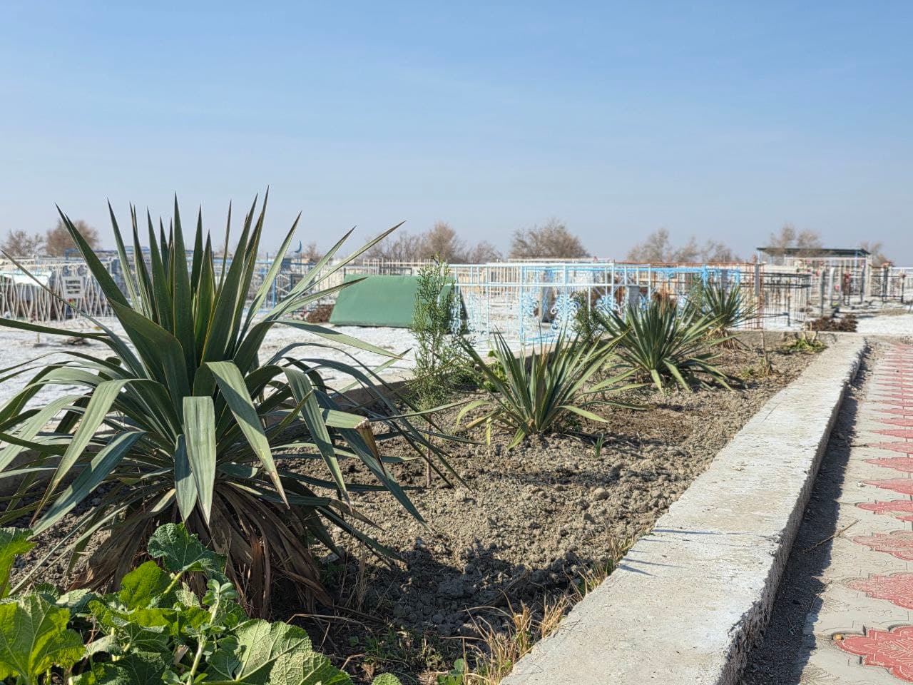 Qorako‘l tumani yoshlar yetakchilari umumxalq xayriya hashari doirasida faol ishtirok etmoqda