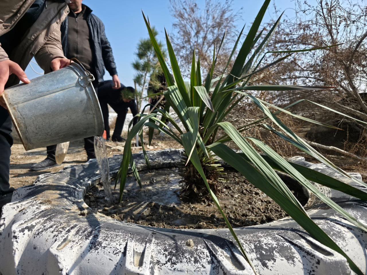 Qorako‘l tumani yoshlar yetakchilari umumxalq xayriya hashari doirasida faol ishtirok etmoqda