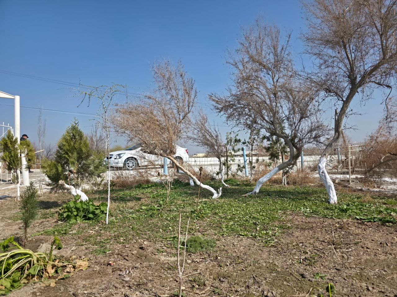 Qorako‘l tumani yoshlar yetakchilari umumxalq xayriya hashari doirasida faol ishtirok etmoqda