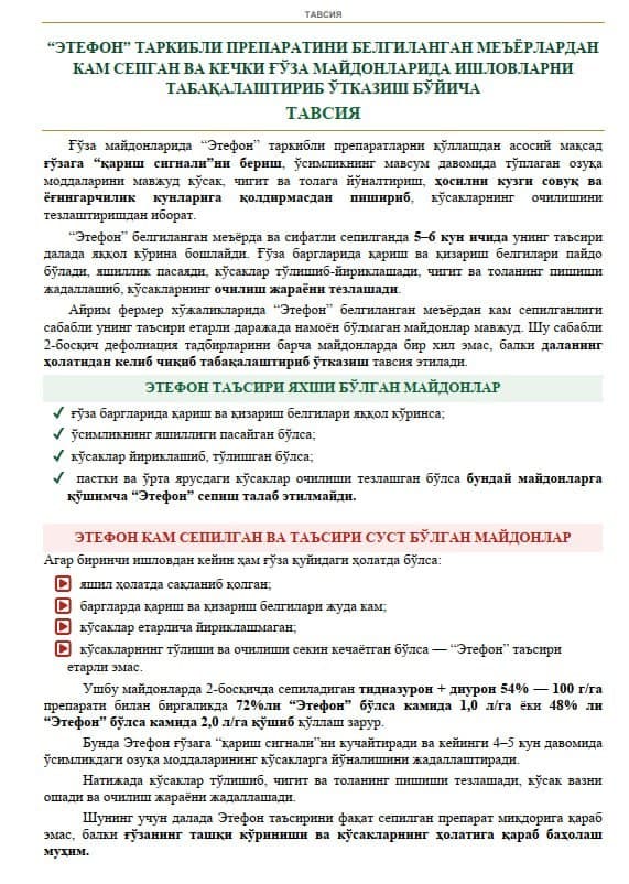 #Tavsiya