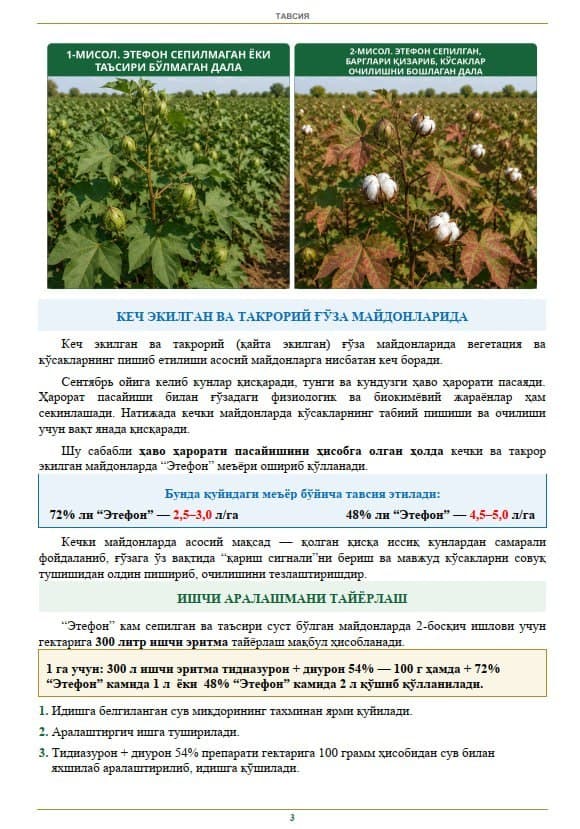 #Tavsiya
