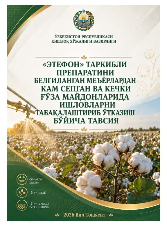 #Tavsiya