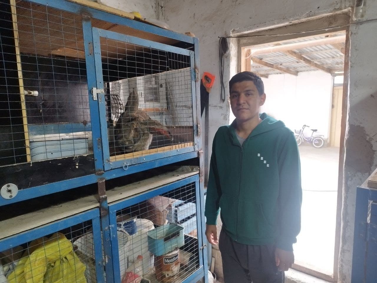 Ko‘kaldosh mahallasida Flander zotli quyonlar yetishtirilmoqda