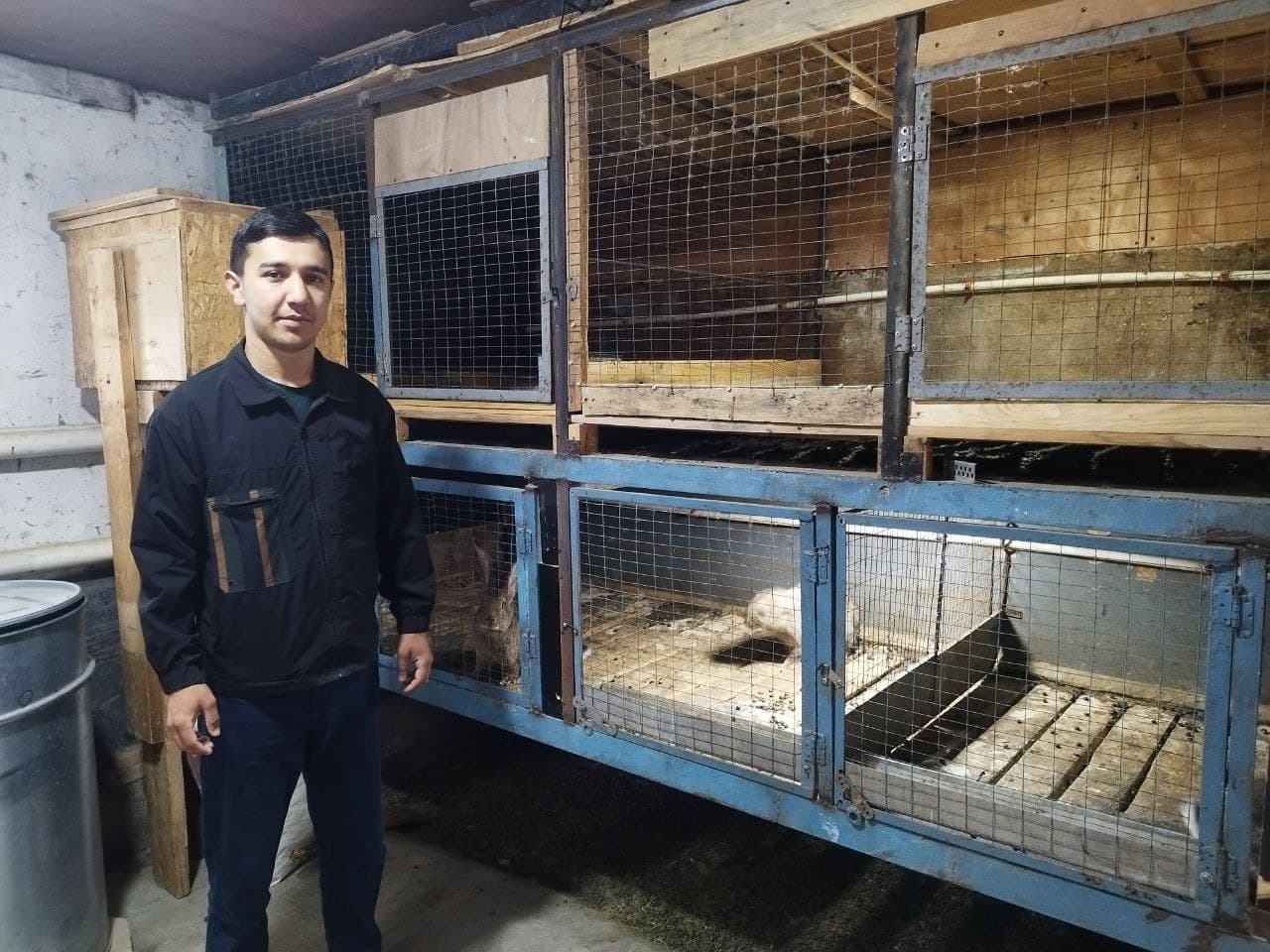 Ko‘kaldosh mahallasida Flander zotli quyonlar yetishtirilmoqda