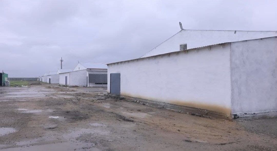 Ravot mahallasida yirik investitsiya loyihasi amalga oshirilmoqda!