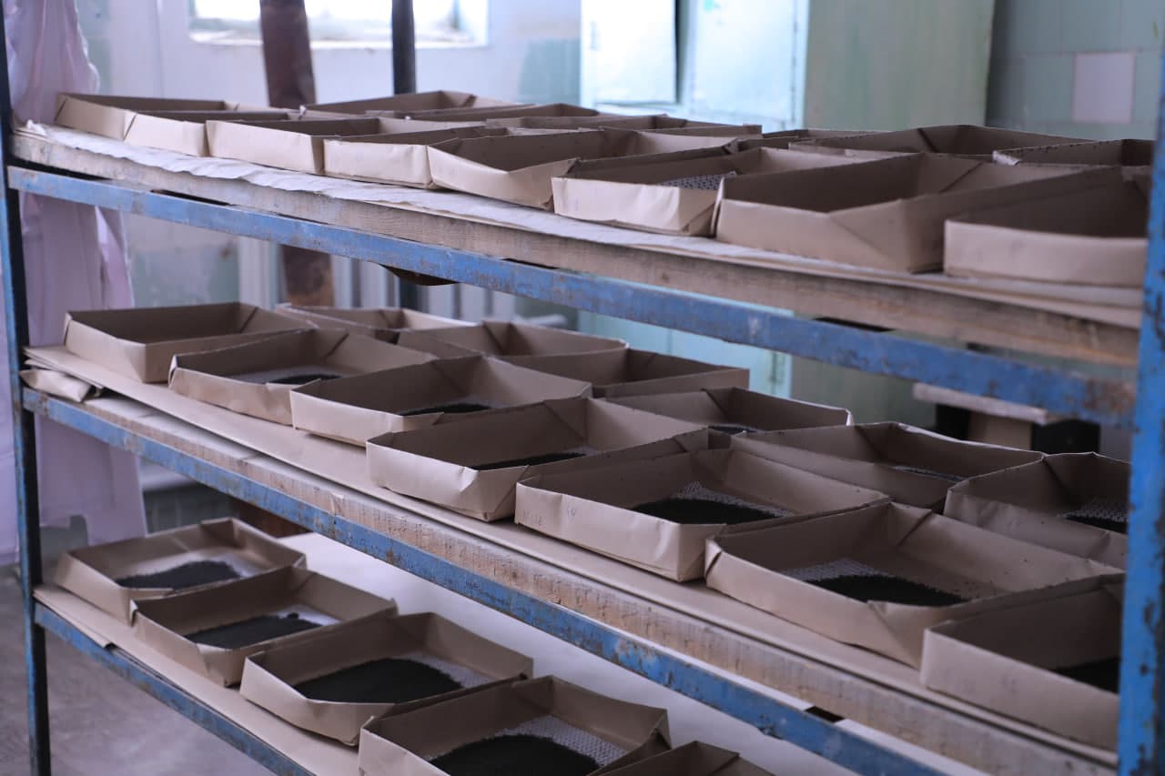 Sardoba tumanida pilla mavsumi boshlandi