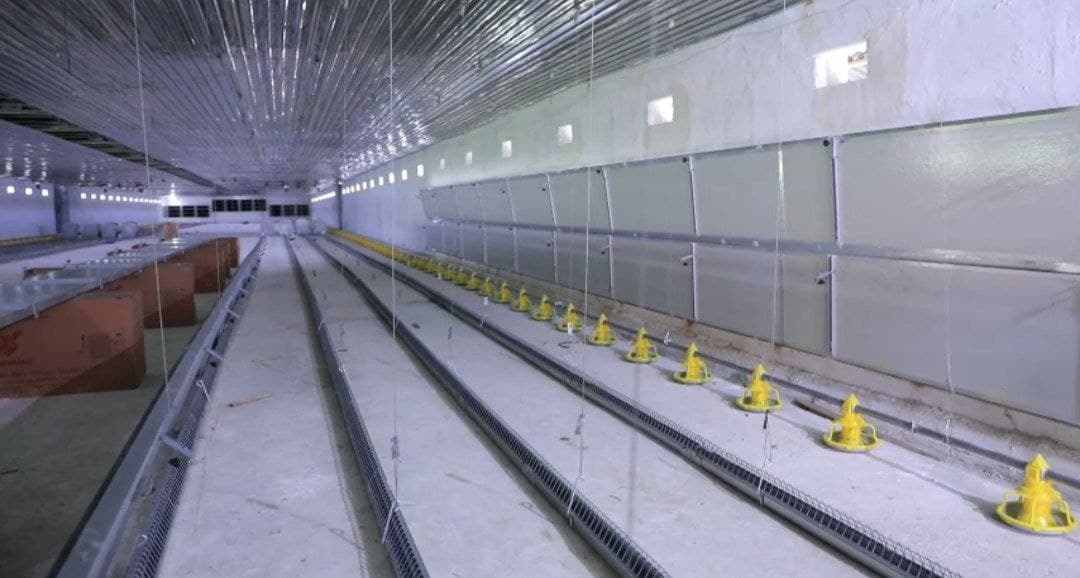 Ravot mahallasida yirik investitsiya loyihasi amalga oshirilmoqda!