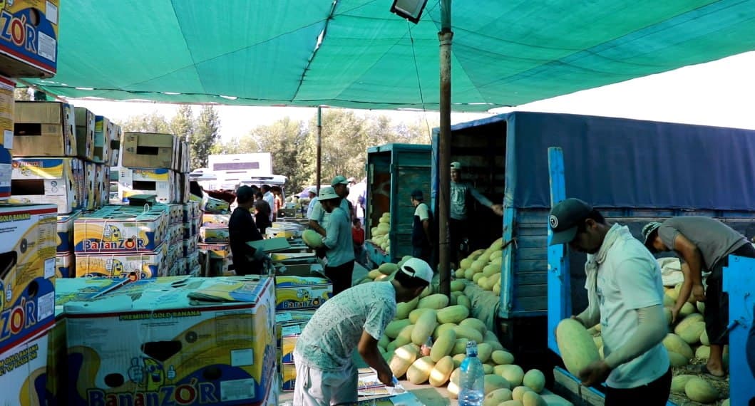 Sardoba qovunlari xorij bozorlarida xaridorgir!