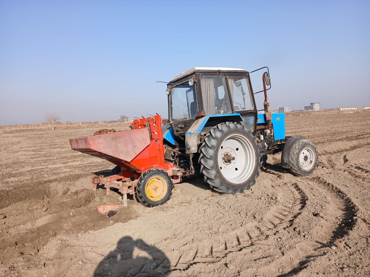 Buxoro tumani: joriy yilda 411 gektar maydonda kartoshka ekiladi