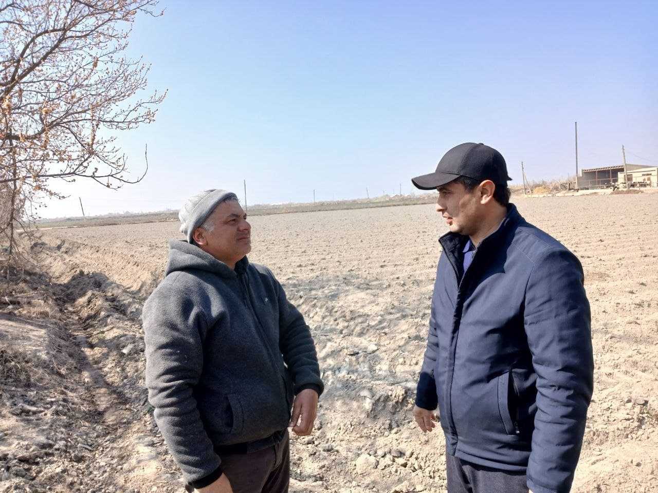 Buxoro tumani: joriy yilda 411 gektar maydonda kartoshka ekiladi