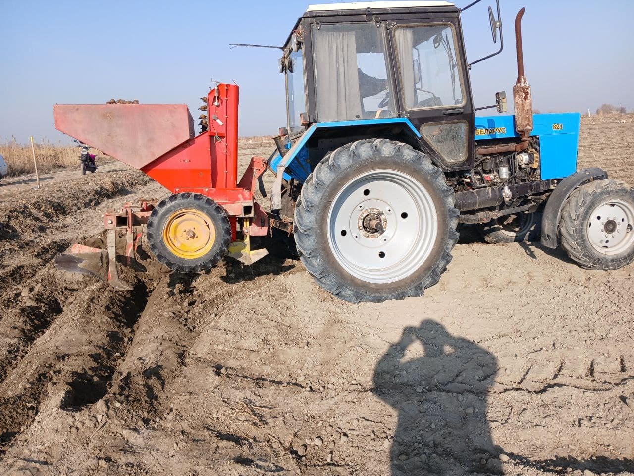 Buxoro tumani: joriy yilda 411 gektar maydonda kartoshka ekiladi