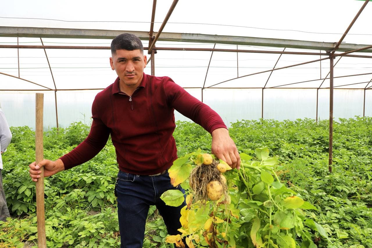 Buxoro tumani Shergiron mahallasida yoshlarga ajratilgan yerlar samarali natija bermoqda