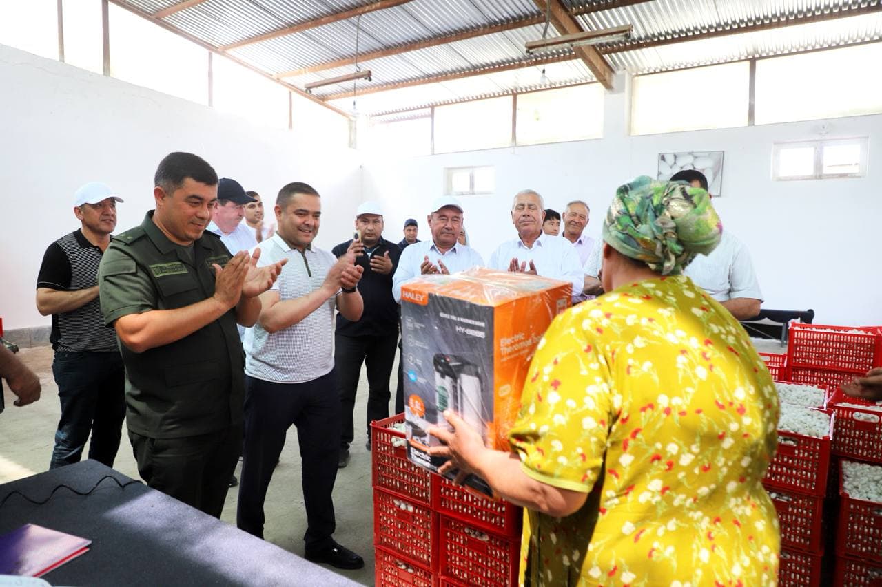 Buxoro tumanida pilla qabul qilish boshlandi