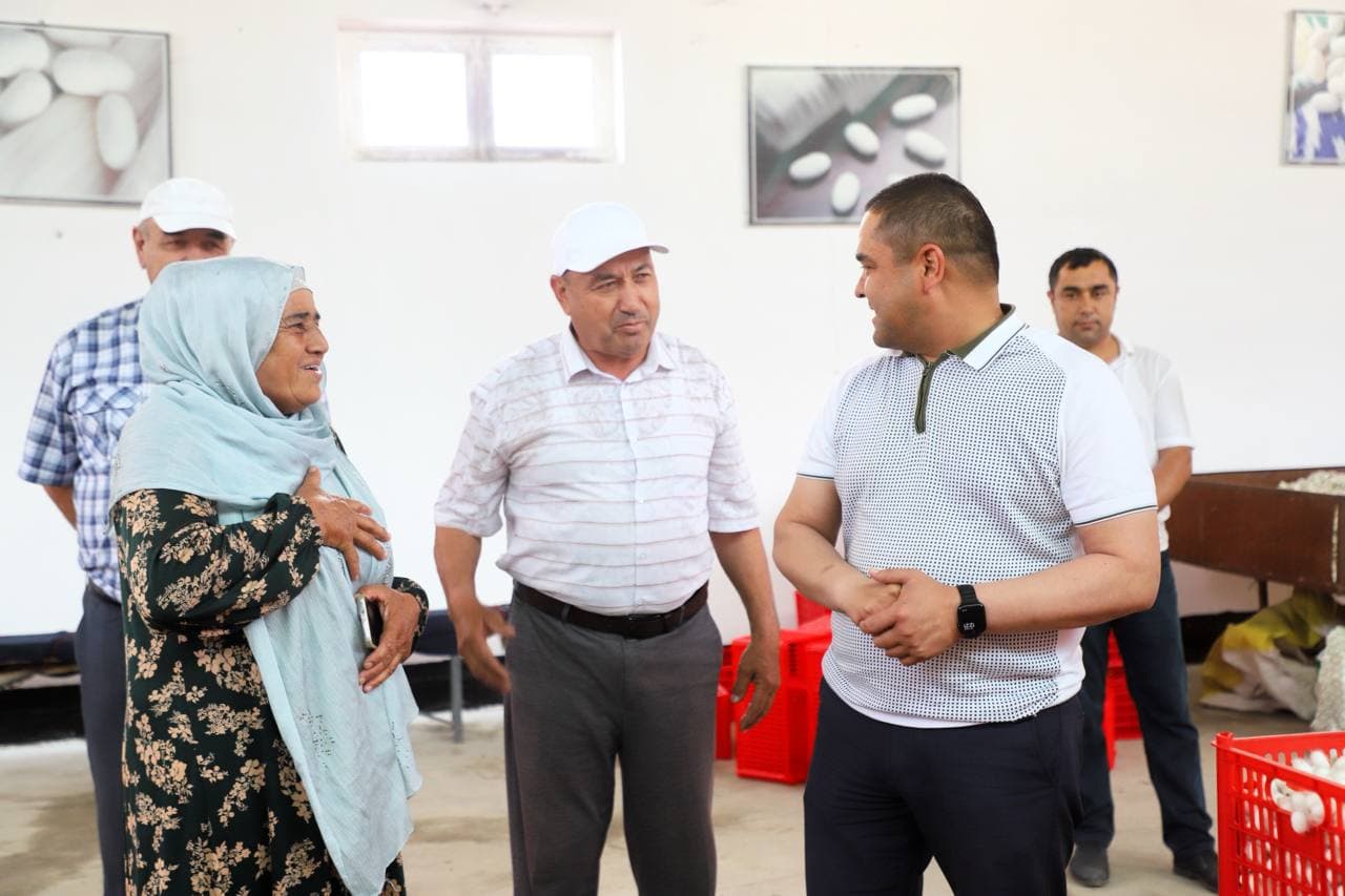 Buxoro tumanida pilla qabul qilish boshlandi