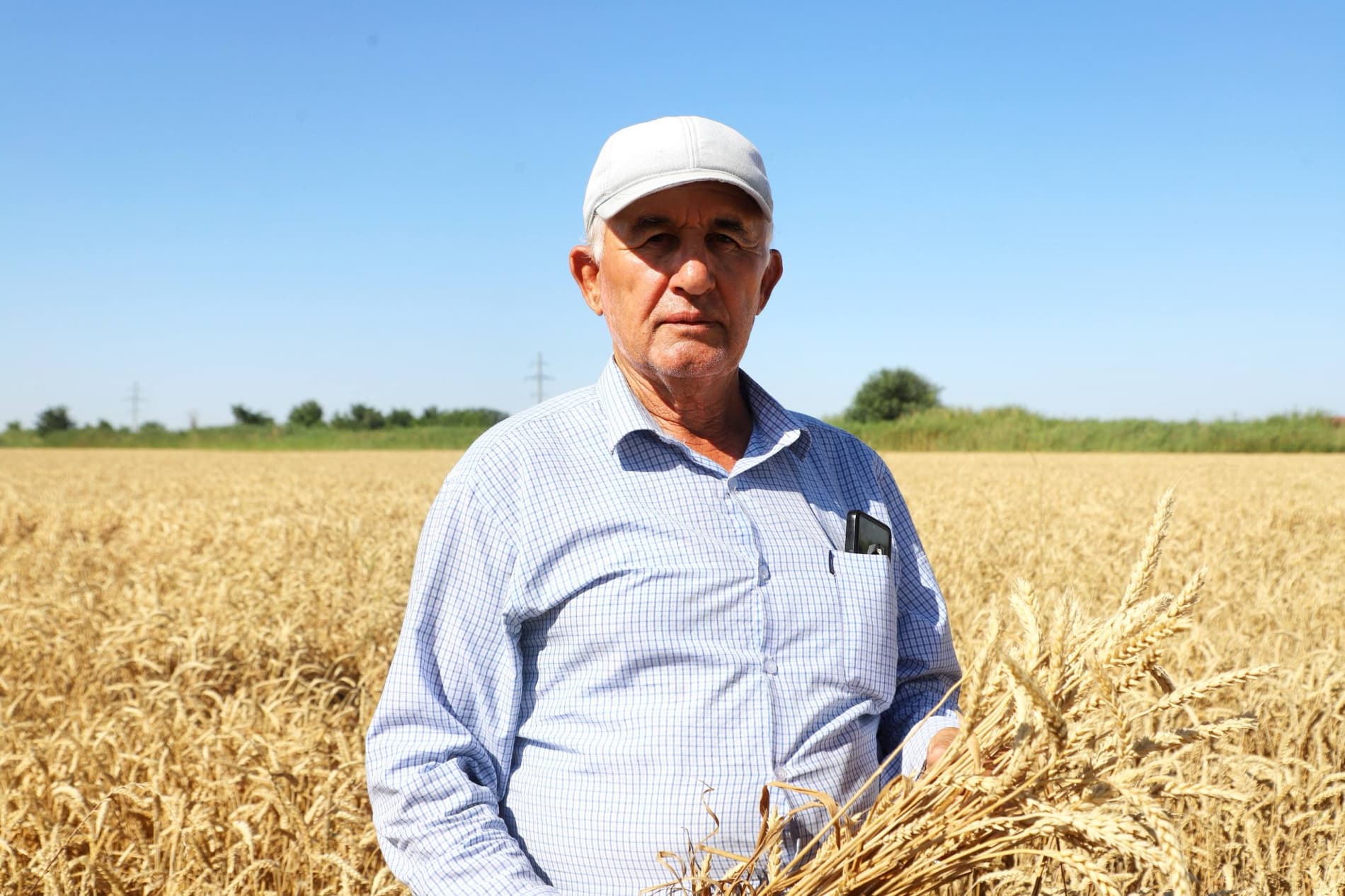 Buxoro tumanida g‘alla rejasini bajargan fermer xo‘jaliklari soni 80 taga yaqinlashdi