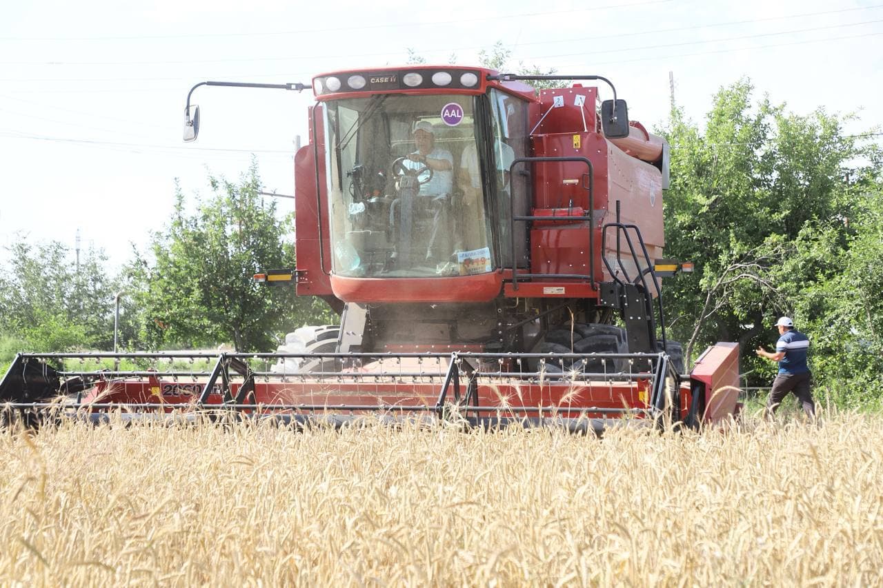 Buxoro tumanida g‘alla rejasini bajargan fermer xo‘jaliklari soni 80 taga yaqinlashdi