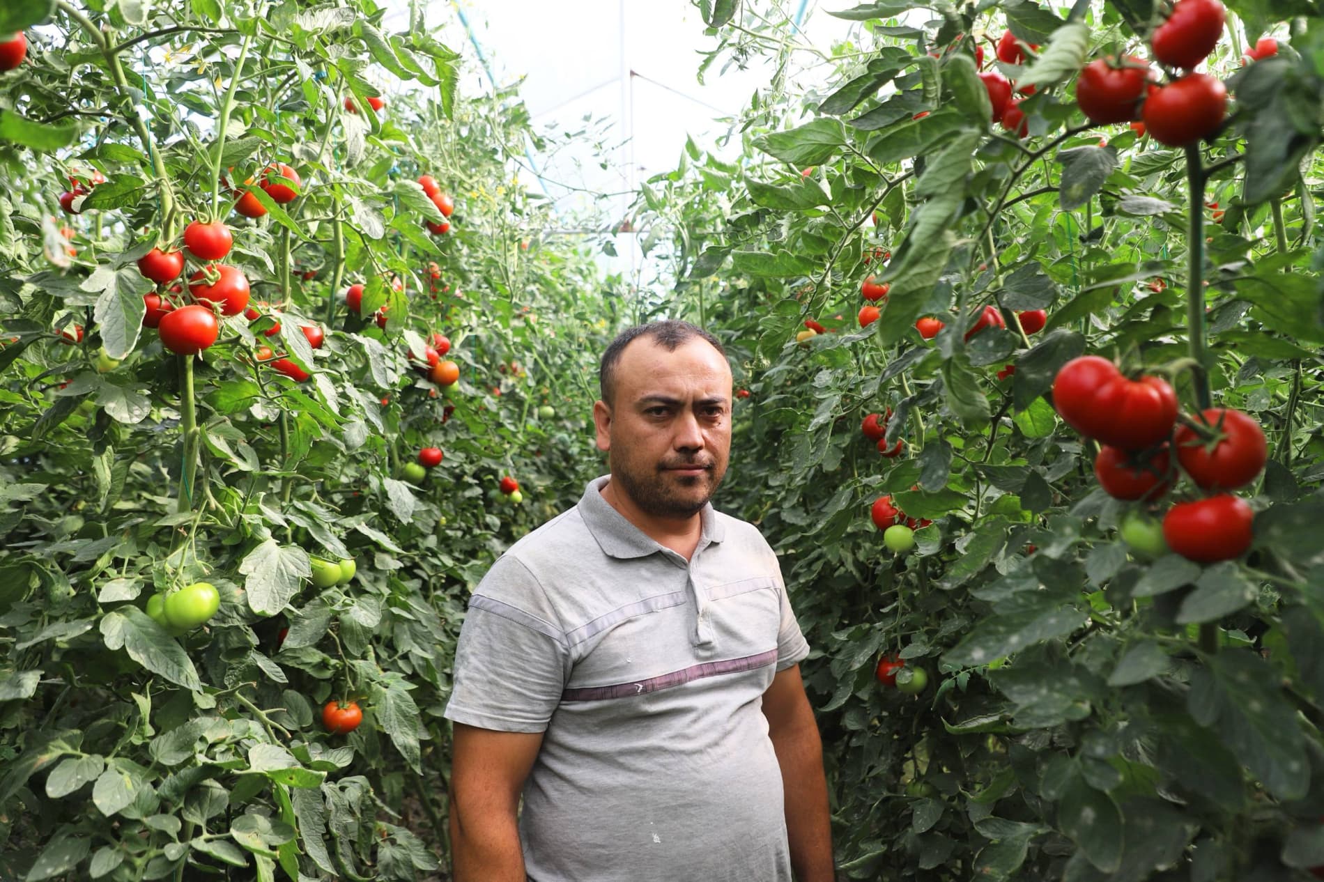 Buxoro tumani: Har qarich yer – baraka manbai — Bog‘ikalonlik yoshning mehnati ko‘plab yoshlarga ibrat