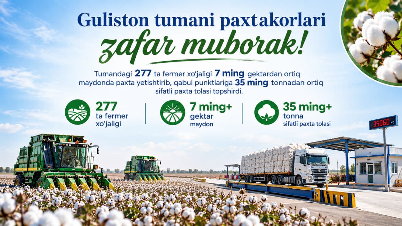Guliston tumani paxtakorlari zafar muborak!