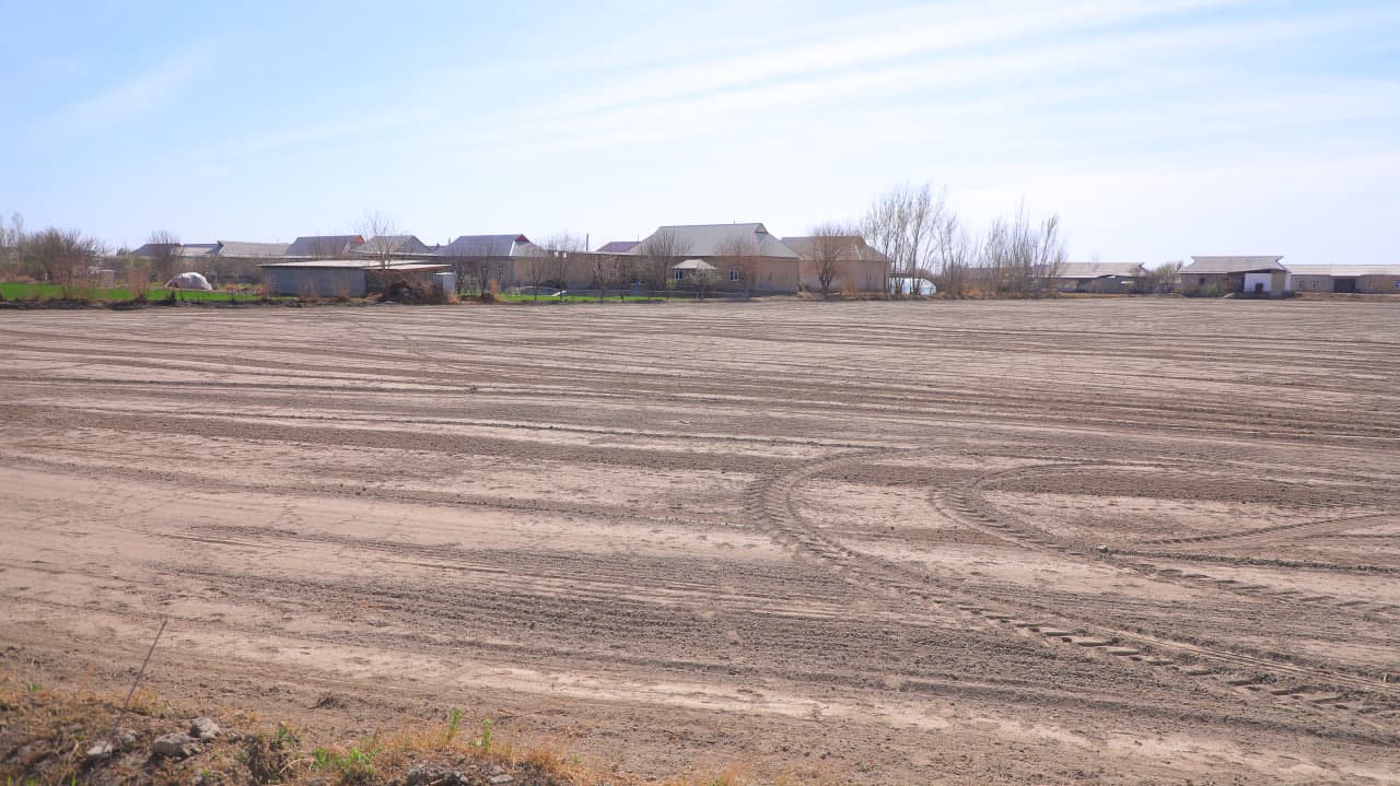 Sharq Yulduzida tuproq harorati 19°C dan oshdi: Ekish mavsumi qizg`in pallada.