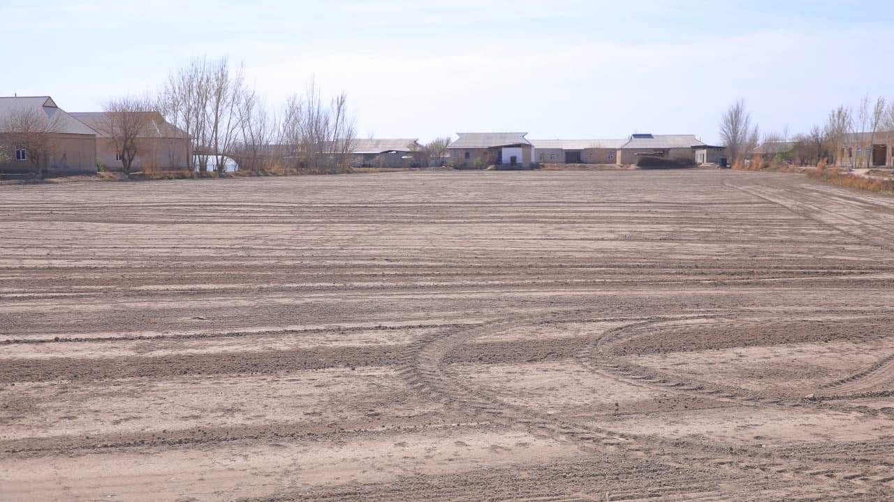 Sharq Yulduzida tuproq harorati 19°C dan oshdi: Ekish mavsumi qizg`in pallada.