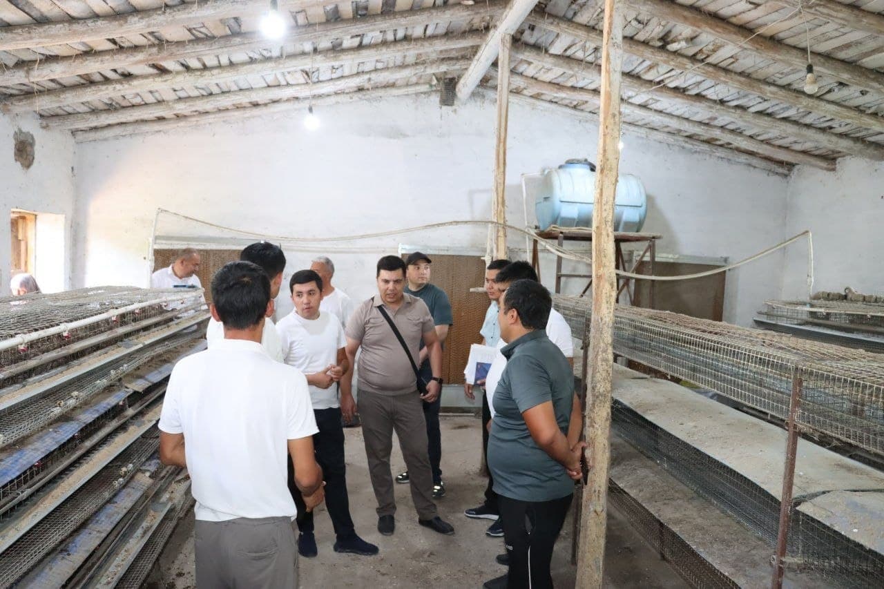 📌 Yoshlar tadbirkorligini rivojlantirishga qaratilgan loyihalar bilan tanishildi