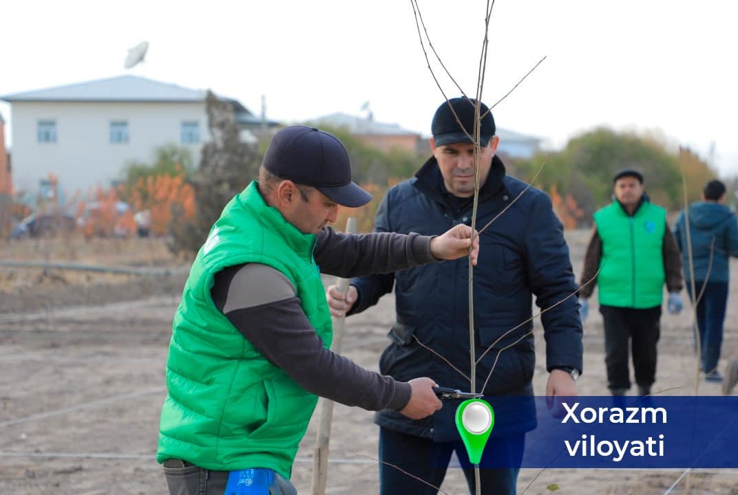 “Yashil makon” – kelajakka ekilgan investitsiya!