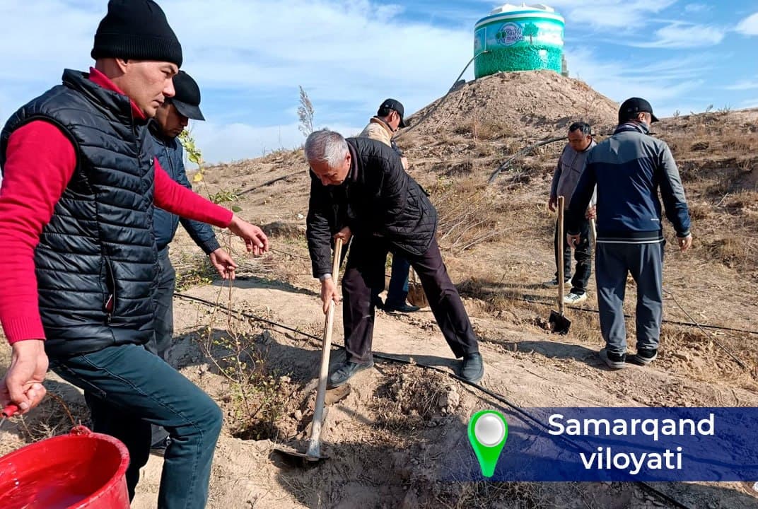 “Yashil makon” – kelajakka ekilgan investitsiya!