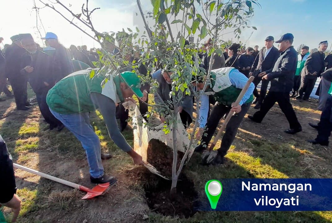 “Yashil makon” – kelajakka ekilgan investitsiya!