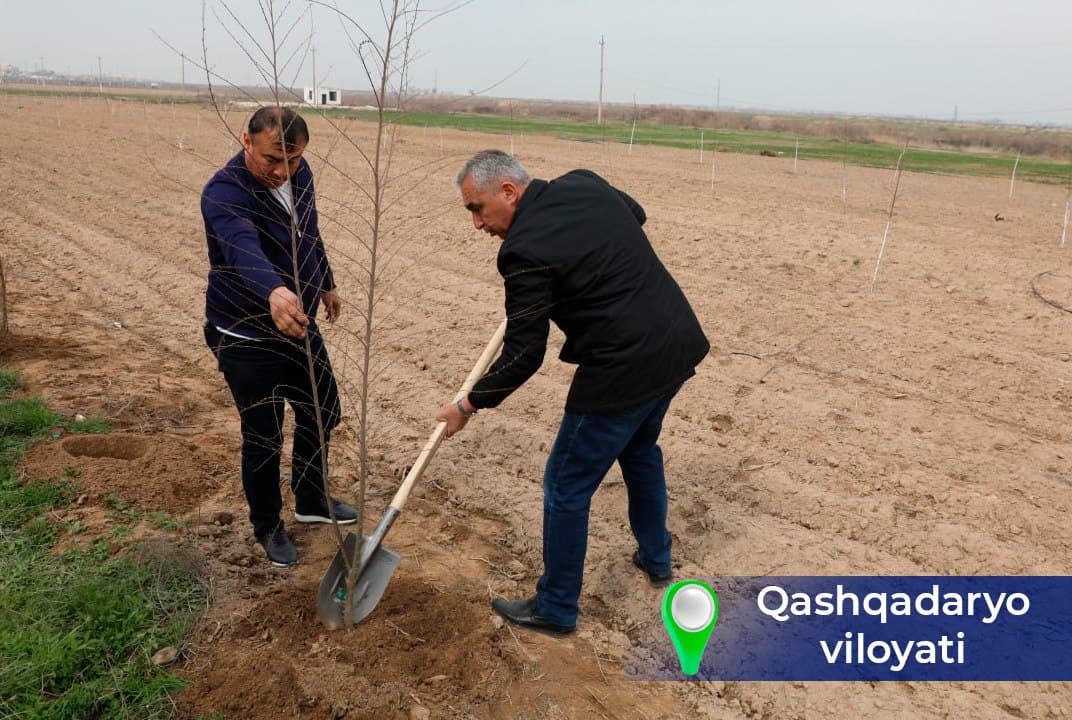 “Yashil makon” – kelajakka ekilgan investitsiya!