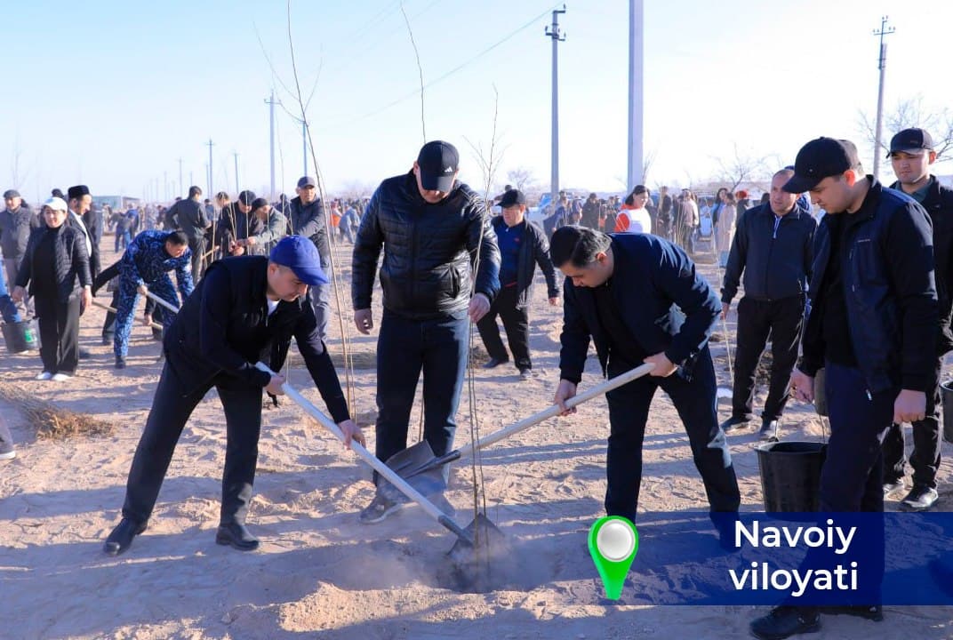 “Yashil makon” – kelajakka ekilgan investitsiya!