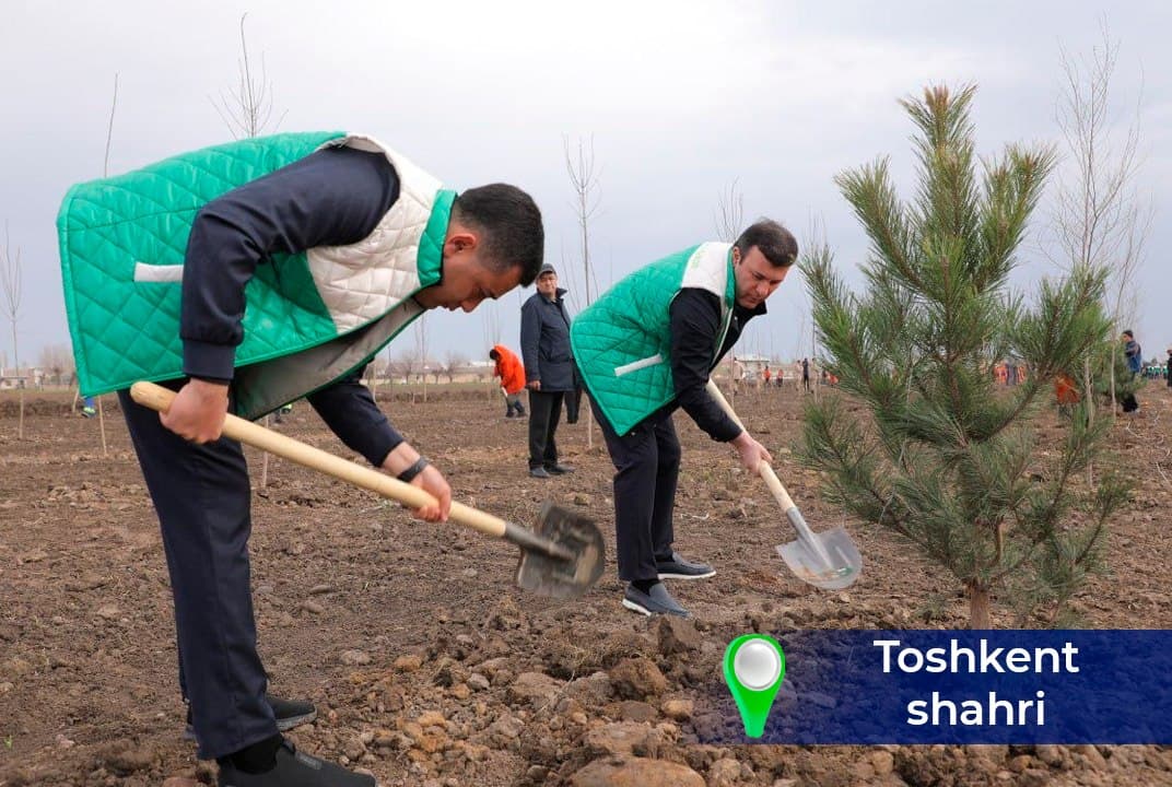 “Yashil makon” – kelajakka ekilgan investitsiya!