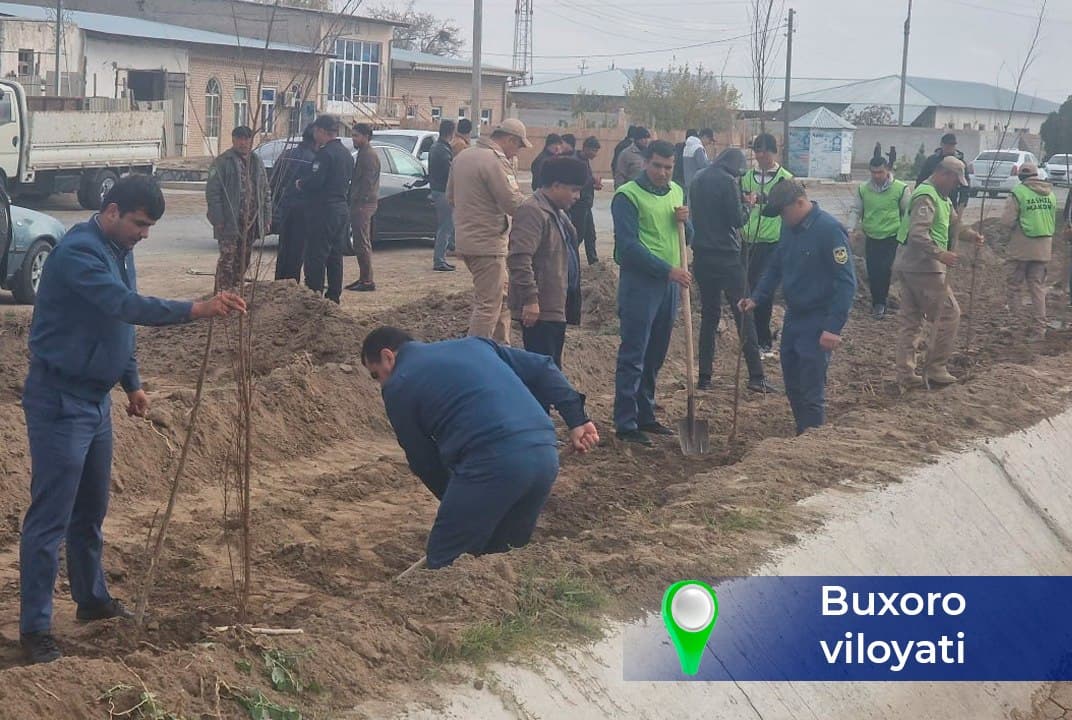 “Yashil makon” – kelajakka ekilgan investitsiya!