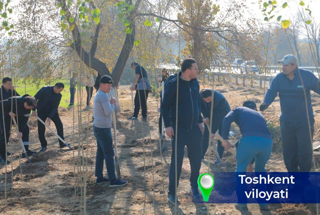 “Yashil makon” – kelajakka ekilgan investitsiya!