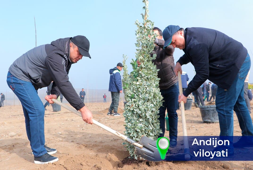 “Yashil makon” – kelajakka ekilgan investitsiya!