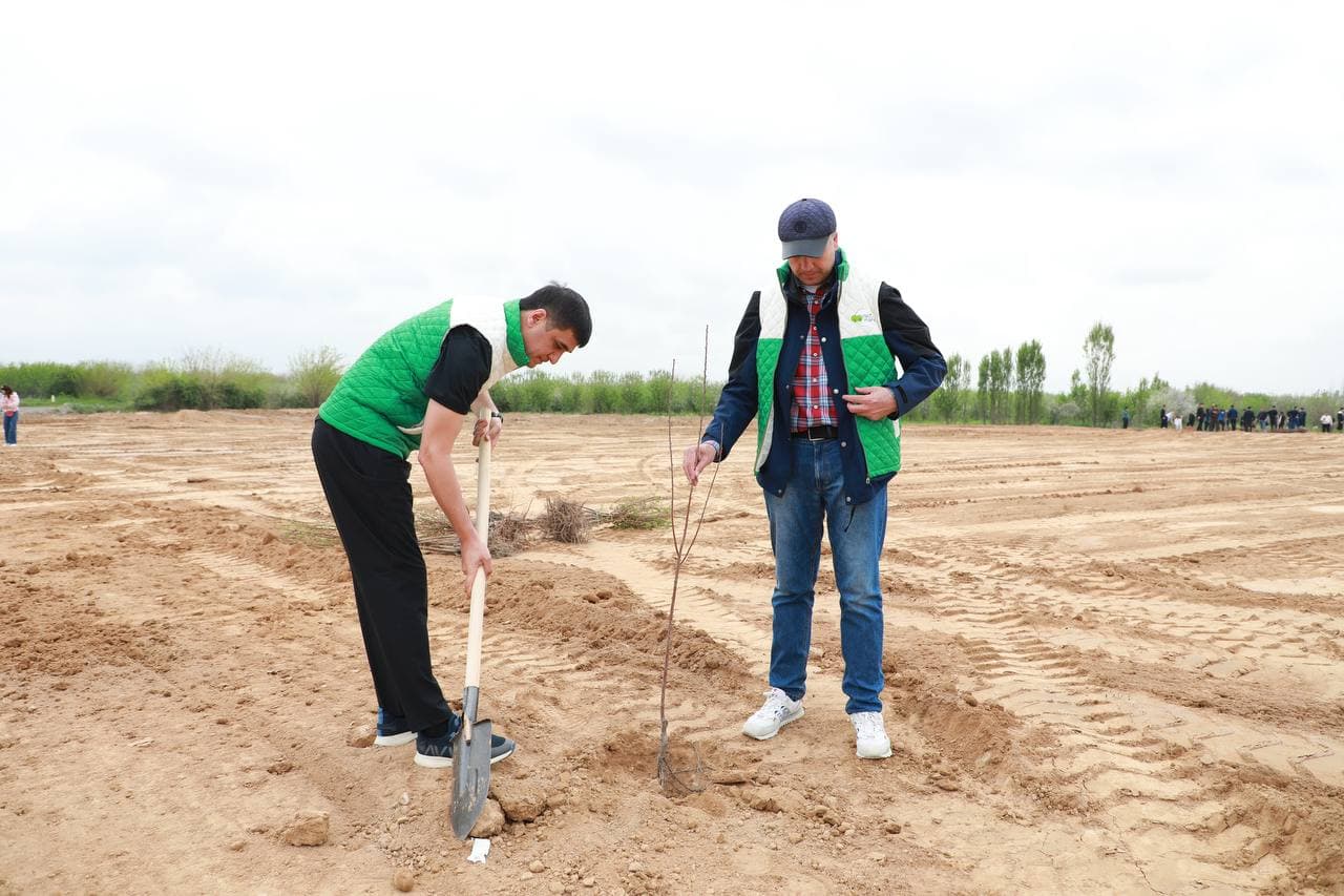 "Yashil makon" umummilliy loyihasining bahorgi mavsumi doirasida Soliq qo‘mitasi xodimlari tomonidan daraxt ekish ishlari amalga oshirildi.