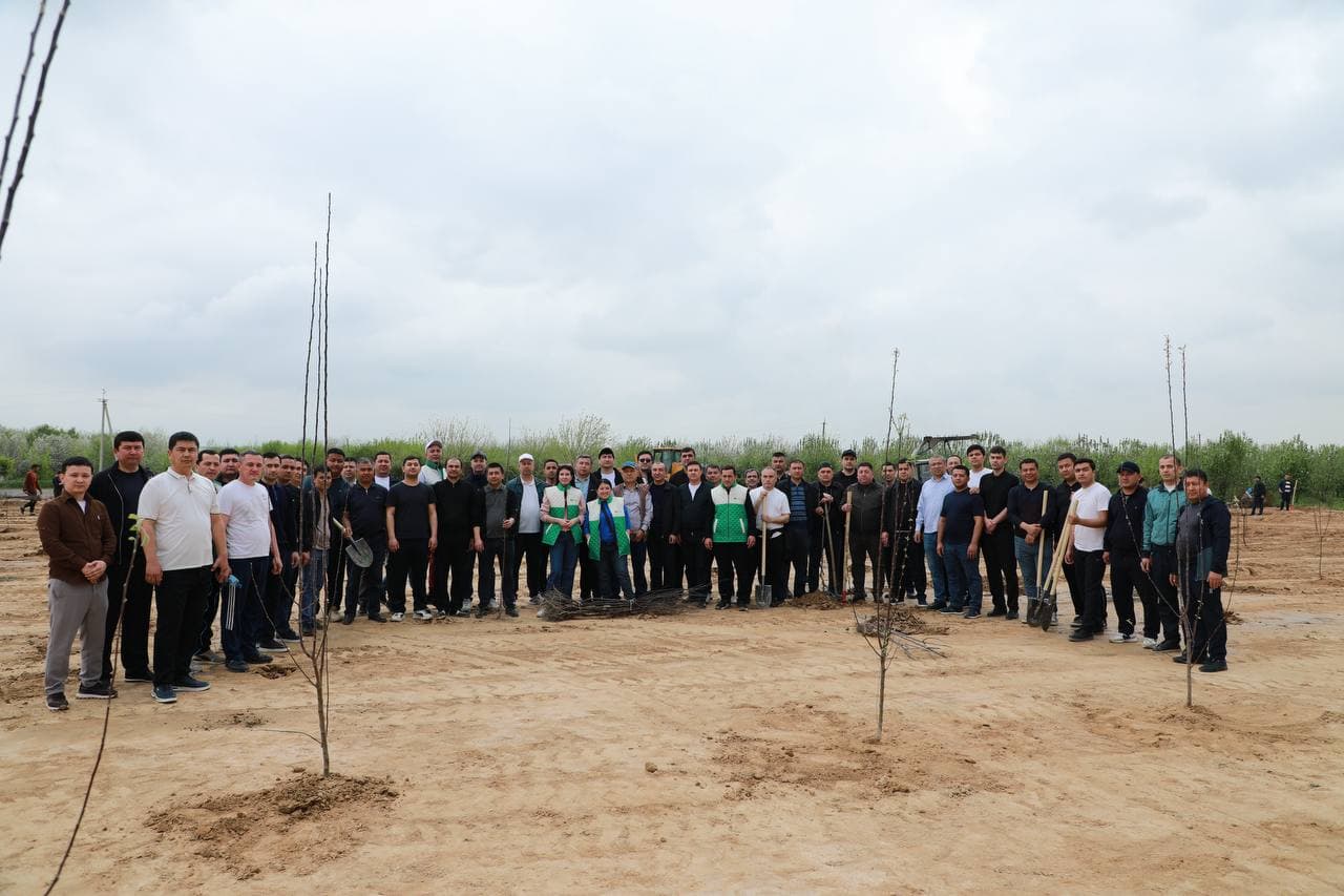 "Yashil makon" umummilliy loyihasining bahorgi mavsumi doirasida Soliq qo‘mitasi xodimlari tomonidan daraxt ekish ishlari amalga oshirildi.