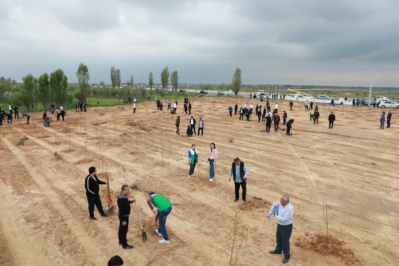 "Yashil makon" umummilliy loyihasining bahorgi mavsumi doirasida Soliq qo‘mitasi xodimlari tomonidan daraxt ekish ishlari amalga oshirildi.