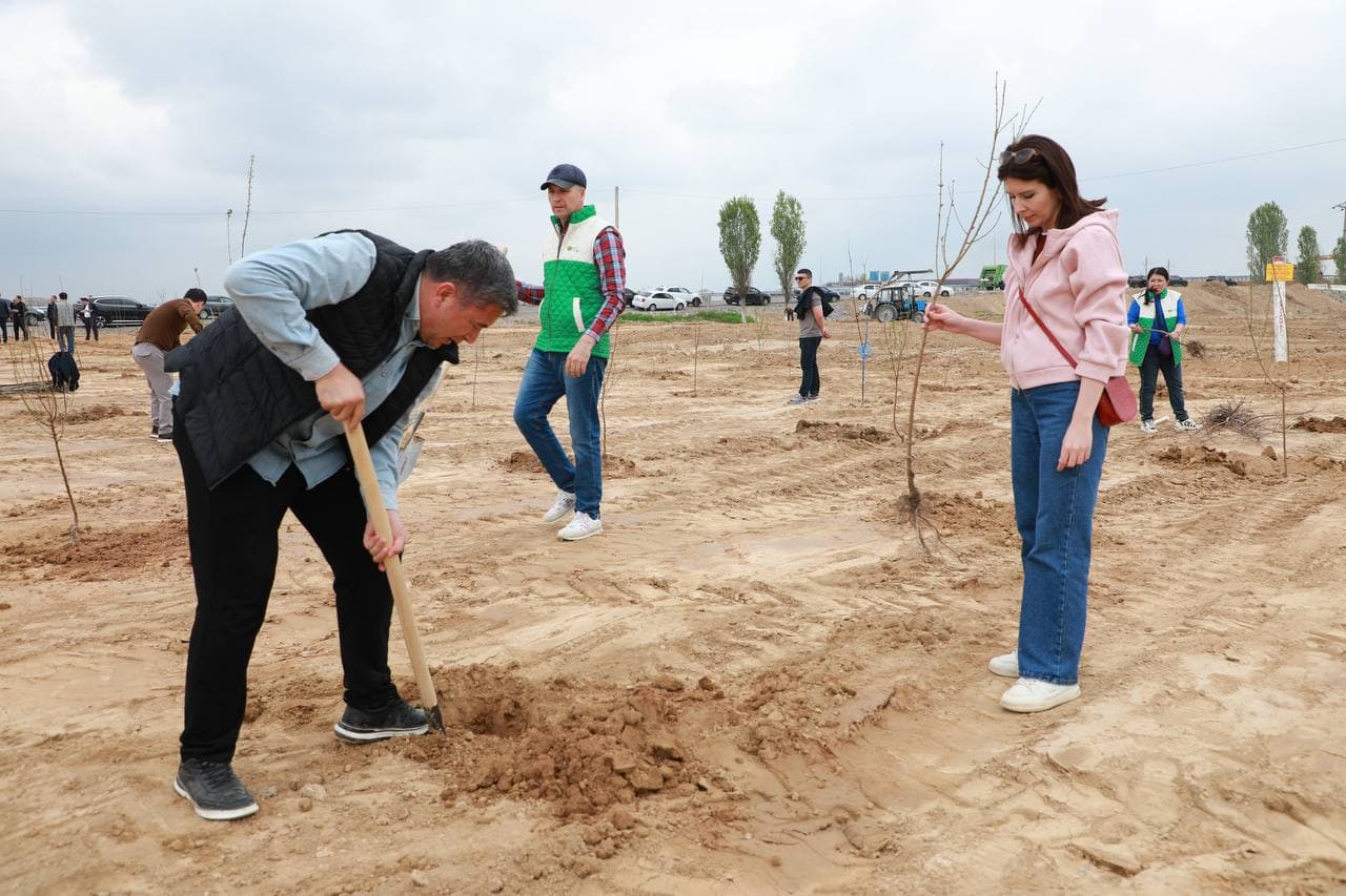 "Yashil makon" umummilliy loyihasining bahorgi mavsumi doirasida Soliq qo‘mitasi xodimlari tomonidan daraxt ekish ishlari amalga oshirildi.