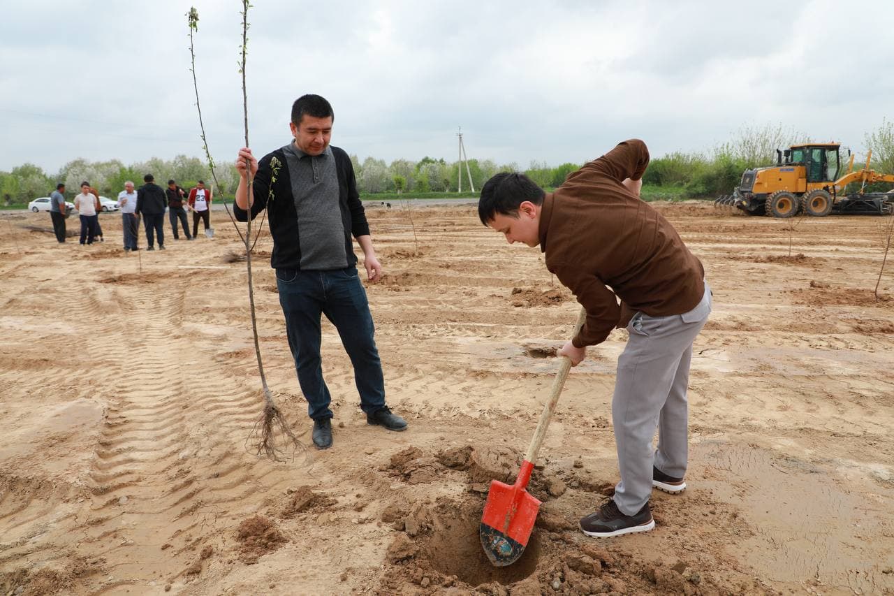 "Yashil makon" umummilliy loyihasining bahorgi mavsumi doirasida Soliq qo‘mitasi xodimlari tomonidan daraxt ekish ishlari amalga oshirildi.