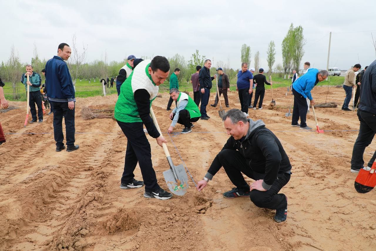 "Yashil makon" umummilliy loyihasining bahorgi mavsumi doirasida Soliq qo‘mitasi xodimlari tomonidan daraxt ekish ishlari amalga oshirildi.